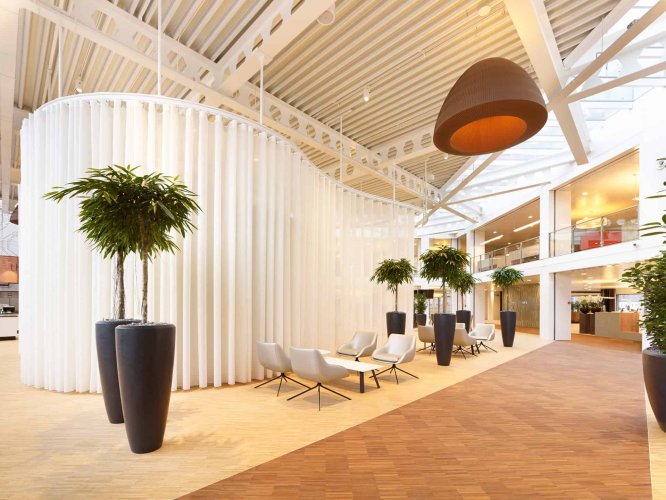 Bamboo-Industriale-01
